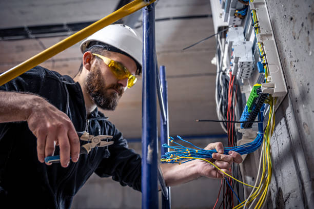 Best Electric Panel Repair  in Madelia, MN