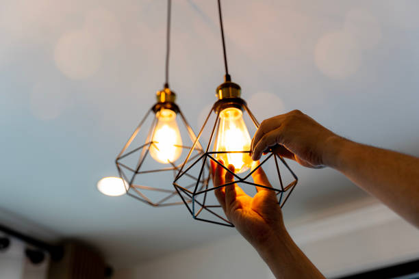 Best Home Electrical Repair  in Madelia, MN
