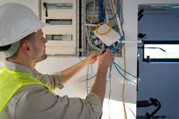 Best Electrical Upgrades for Homes  in Madelia, MN